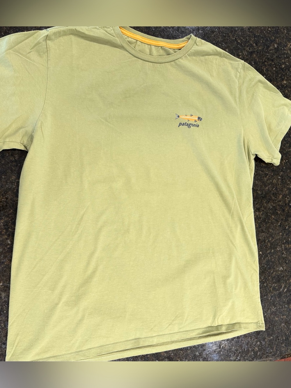 Patagonia Men’s Short-Sleeve Tee in Pale Green with Small Logo